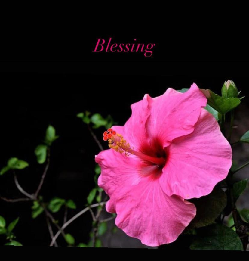 Blessing House Apartment Napoli Bagian luar foto